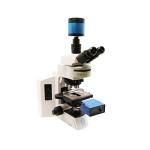Upright Fluorescent Biological Microscope B60F