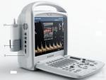 Multi-frequency 3D / 4D Color Doppler Ultrasound System With Focused Ultrasound