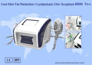 Wholesale 12V Cool Mini Fat Reduction Cryolipolysis Slimming Machine from china suppliers