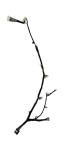 IATF16949 Certified Lighting Wiring Harness for Automobile
