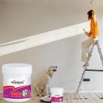 High Temperature Resistant K11 General Waterproof Coating for Building Emulsion
