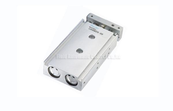 CXSM Guided Rod Double Shaft Bore size 6~32mm Pneumatic Air Cylinder With Magnet