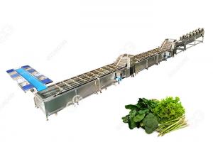 Wholesale CE Certified Stainless Steel Commercial Vegetable Washer Washing Line Vegetable Processing Plant from china suppliers