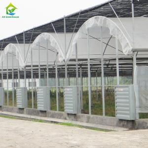 Wholesale Commercial Poly Tunnel Plastic PE Film UV Resistant Greenhouse For Tropical Climate from china suppliers