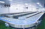 Turnkey 380V Muffins Rusk Automated Bakery Production Line