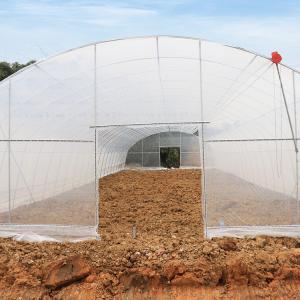 Wholesale Tunnel Plastic Film Top Vent Greenhouse Uv Single Span For Plants Growing from china suppliers
