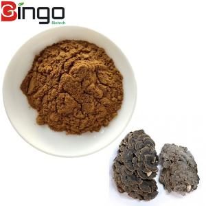 China Top selling anti-cancer medicines coriolus versicolor trametes extract powder pharmaceutical manufacturing industry on sale
