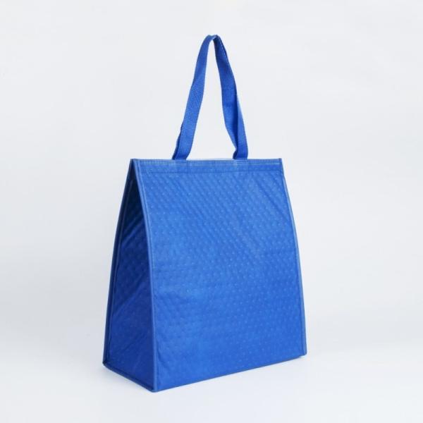 Fashion portable recyclable pp non woven cooler bag travelling insulated food