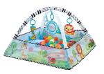forest Play Mat Converts to Ball Pit Baby Gym, Newborn to Toddler - Totally