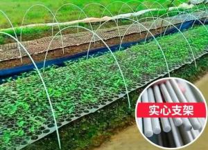 Wholesale 10mm Fiber Reinforced Plastic Rod Flexible Fiberglass Rods For Green House Planting from china suppliers