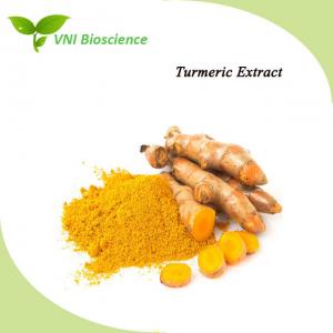 China Natural Curcumin Turmeric Extract Powder on sale