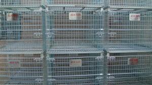 Wholesale Forklift Operation Collapsible Wire Containers Stacked Height Under 4 Meter from china suppliers