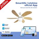 Remote Control 3 Speed 42inch Traditional Indoor Ceiling Fan AC Motor