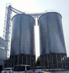 Maximize Your Operation's Cost-Effectiveness with Our Steel Grain Silo Budget