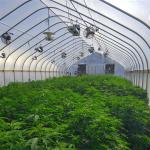 Automatic Outside Shading Light Deprivation System Greenhouse OEM