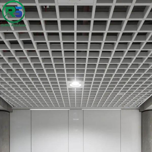 Sound Proof Artistic Aluminum Ceiling Tiles Unique Perforated Metal Ceiling