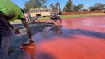 Spray Coat System Athletic Track elastic Synthetic Plastic Rubber Track