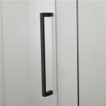 Stainless Sliding Glass Shower Door