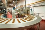 Net Granola / Energy Bar & Cereal Bar Machine Forming Extruder Slab Line