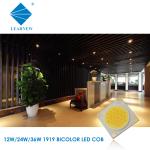 2800-7000k 25W 30W COB LED 80Cri Flip Chip COB LED 1919 Series