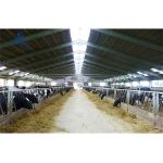 Convenient Prefabricated Steel Barn for Sheep and Cows C.Z Shape Steel Channel