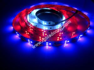 Wholesale 2811 digital rgb 3led pixel strip from china suppliers