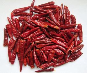 China Dried Chilli on sale