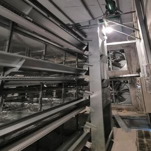 Wholesale Multi Tier Automatic Poultry Feeding System For Broiler 1800x1200x410mm Size from china suppliers