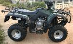 CE certified 200cc balance bar engine bike ATV quad with 800W motor and 60V