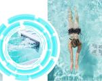 Pool of Luxury Above Ground Fibre Glass Endless Transparent with Wood Plastic