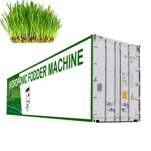 Wholesale Germination Hydroponic Fodder System / Cattle Green Fodder Growing Machine from china suppliers