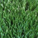 Double Color Synthetic Artificial Grass Premier League In Soccer Stadium