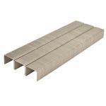 20Ga 80 Series Galvanized Crown Staples Fine Wire 8008 12.8mm For Industrial