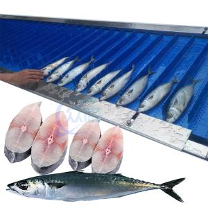 Wholesale Fish cutting machine, high-efficiency automatic bone meat cutting machine 304 stainless steel can be customized size from china suppliers