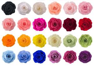 Wholesale OEM ODM 60+ Colors Real Preserved Roses For Valentine'S Day from china suppliers