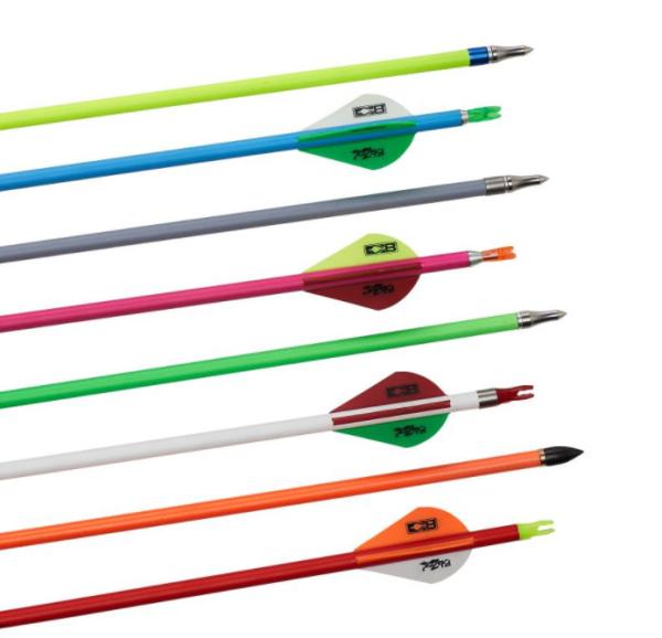 Fluorescent Red/Orange/Green/Blue/White/Gray/pink Color Carbon arrows in Spine
