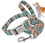 Personalize Design Harness Leash Set Injury Free Wearable For All Seasons