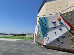 Professional Indoor Climbing Wall Climbing Holds Custom Moisture Proof