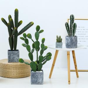 China Fashion Cactus And Succulent Fake Plastic Plant For Home Decoration on sale