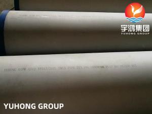 Wholesale ASTM A312 TP317L Stainless Steel Seamless Tube 100% ET UT Boiler Tube from china suppliers