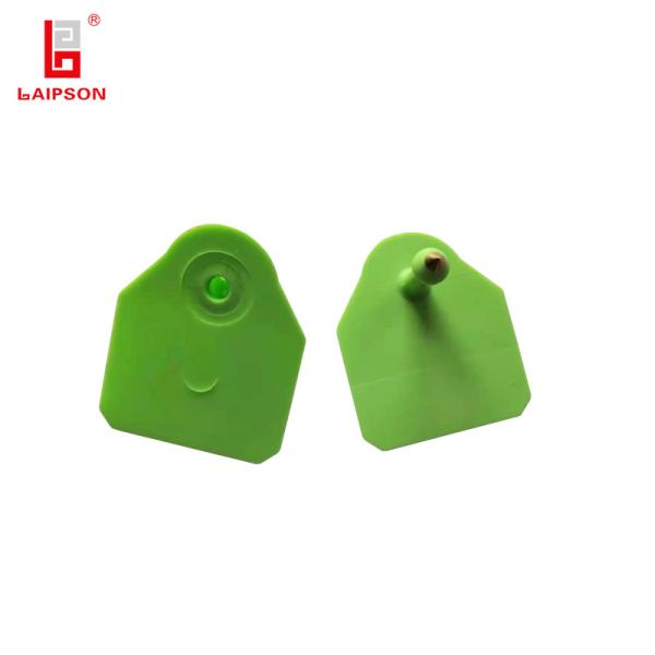 Laipson 50mm Closed Head Green Tamperproof ISO9001 Animal Ear Tag For Pig Cattle