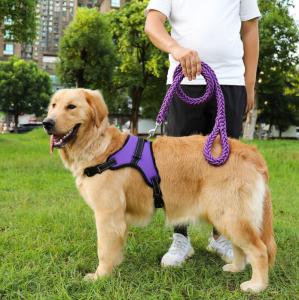 Wholesale Waterproof Heavy Duty Retractable Dog Lead For Big Dogs Nylon from china suppliers