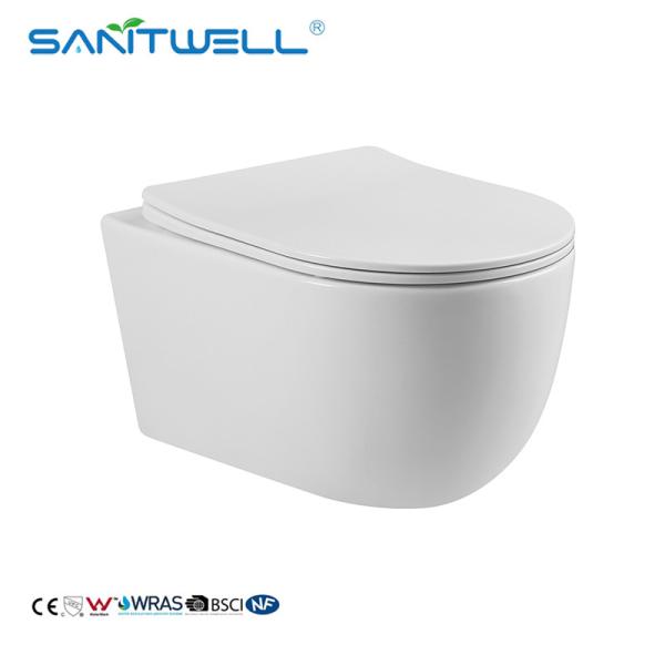 Hot Sale China Suppliers New design Gravity Flushing Rimless Wall Hung Porcelain