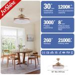 OEM Multi Color LED Ceiling Fan for in Dinning Room at Home Hotel Office