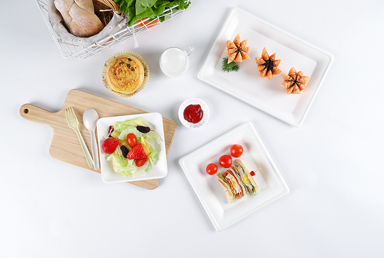 8" Compostable bagasse square dinner dessert Plates