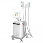 China Astiland Cellulite Cryolipolysis Slimming Machine for sale