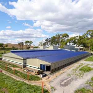 Custom Steel Structure Chicken House for Poultry Farming
