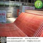 red film faced plywood