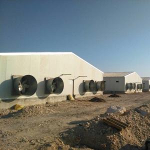 Wholesale Customized Gable Roof Prefab Poultry House With Insulation Panels from china suppliers