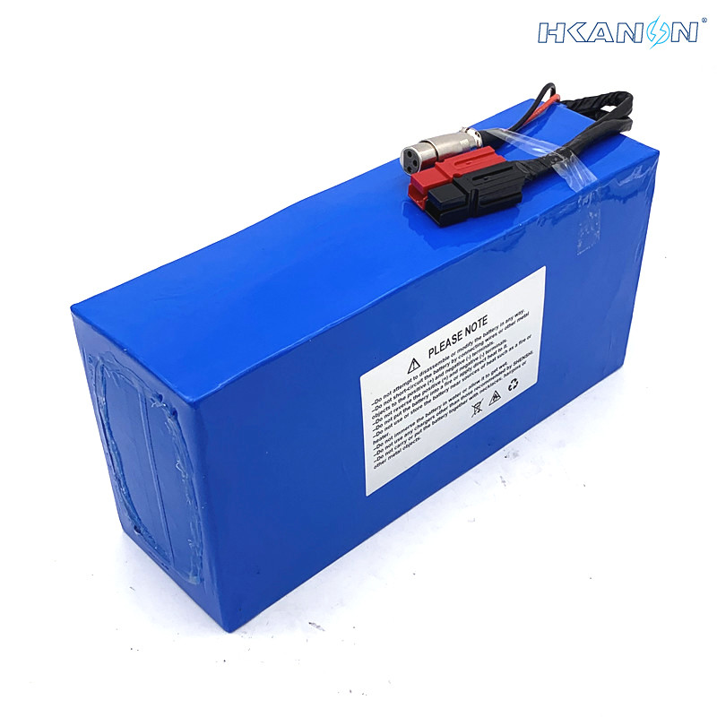 24 Volt Electric Bicycle Lithium Battery Customized Capacity With Various Housing IP65